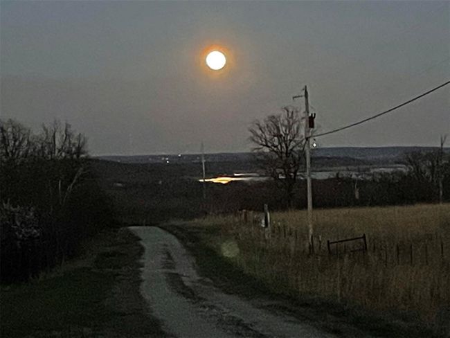 The view as you drive into the property 3 mile dead end road. | Image 39