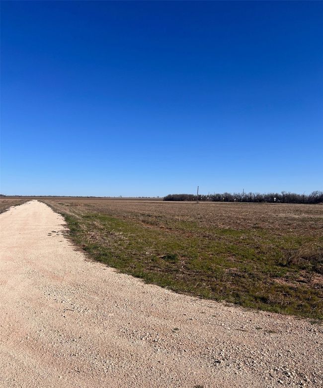179 Donnas Lane, Home with 0 bedrooms, 0 bathrooms and null parking in Trent TX | Image 4