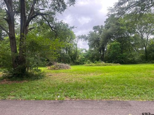 0 Ricky Dr, Palestine, TX, 75802 | Card Image