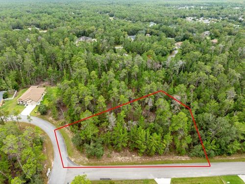 80 Bells Of Ireland Ct, Homosassa, FL, 34446-5817 | Card Image