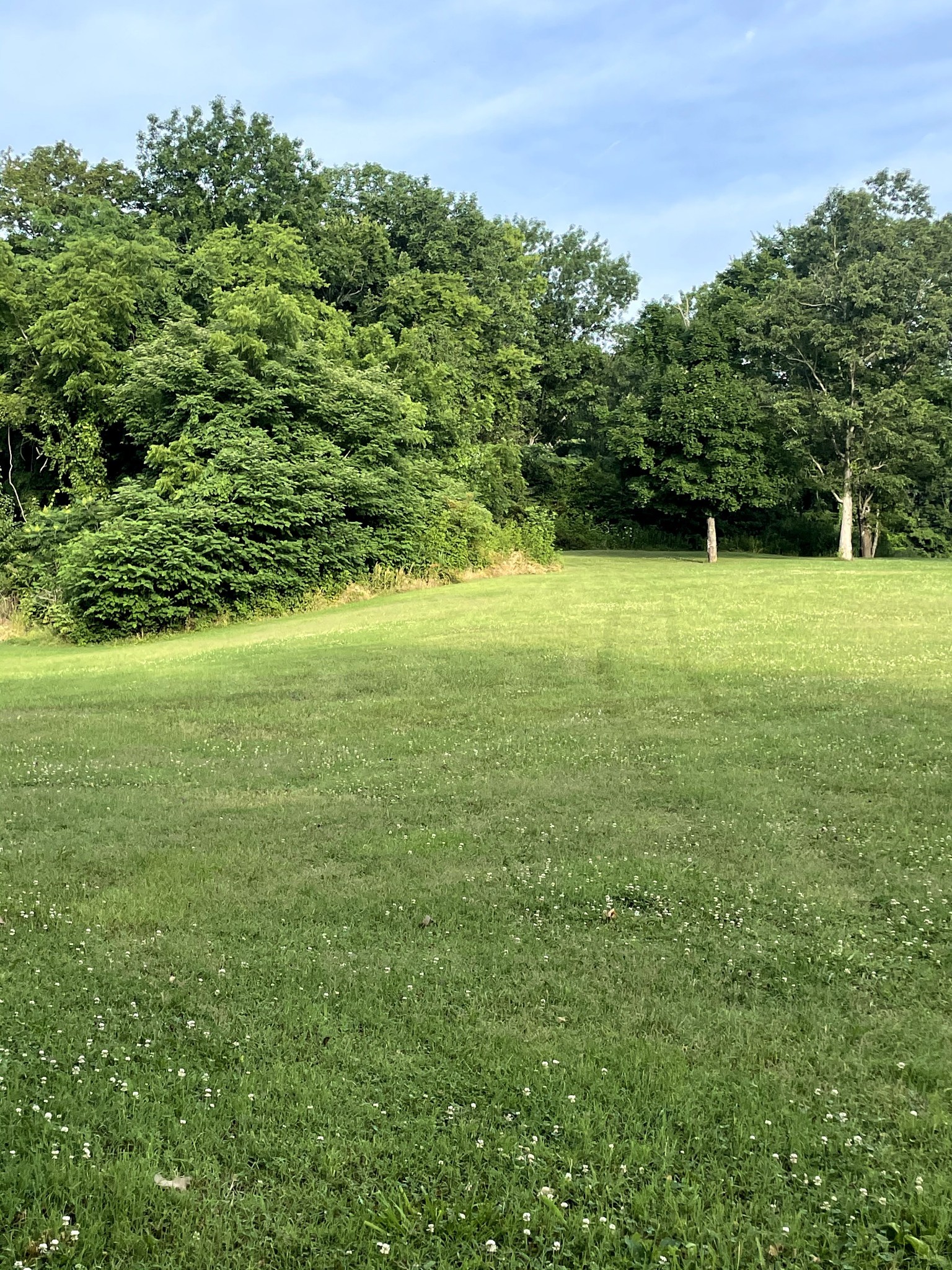 Land in Murfreesboro 4