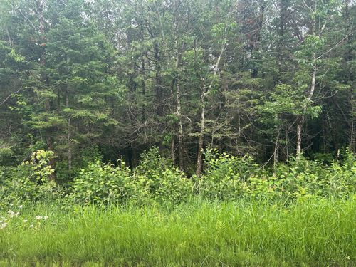 5 AC On. Worsech Rd, Catawba, WI, 54515 | Card Image