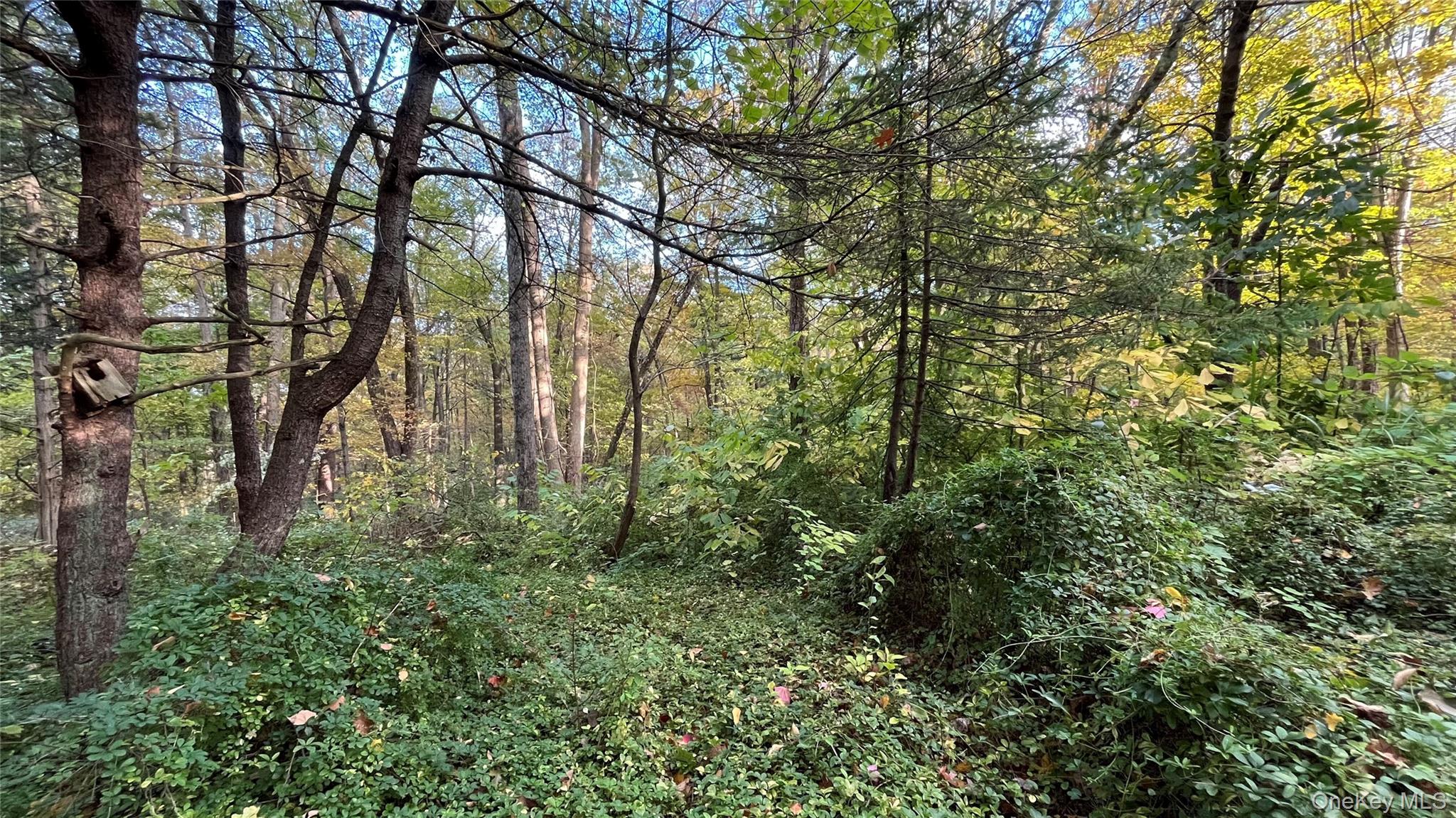 Residential in Esopus 5