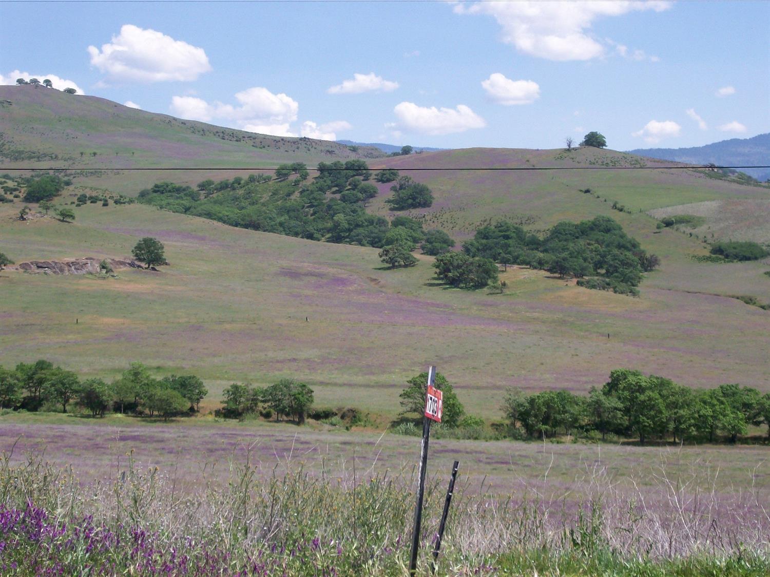 Land in Ashland 3