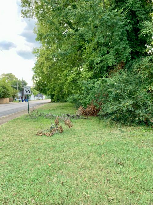 1912 Wilson St, Chattanooga, TN, 37406-4219 | Card Image
