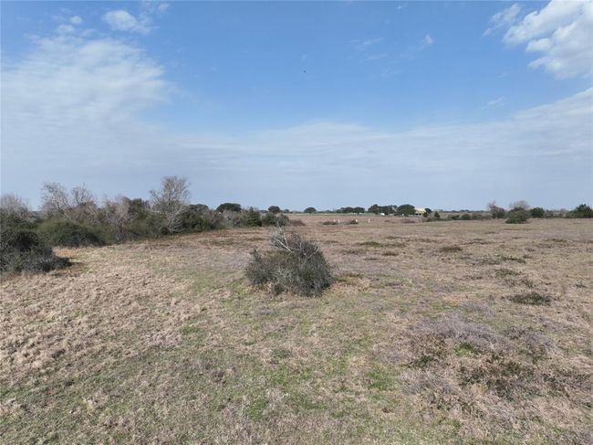 Mid Pasture. | Image 27