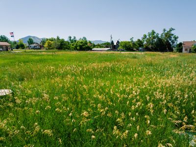 View of yard with a mountain view | Image 3