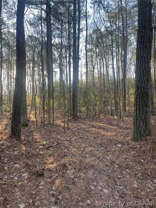 244Ac Buzzard Point Rd, Diggs, VA, 23045 | Card Image