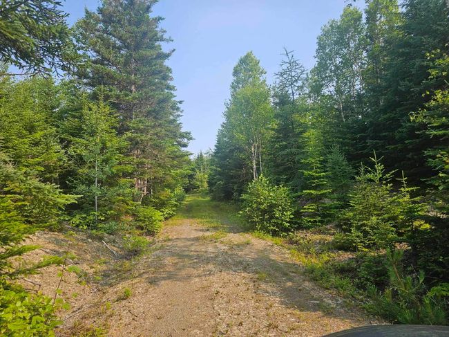 138 Grand Mira South Rd, House other with 3 bedrooms, 1 bathrooms and null parking in Marion Bridge NS | Image 22