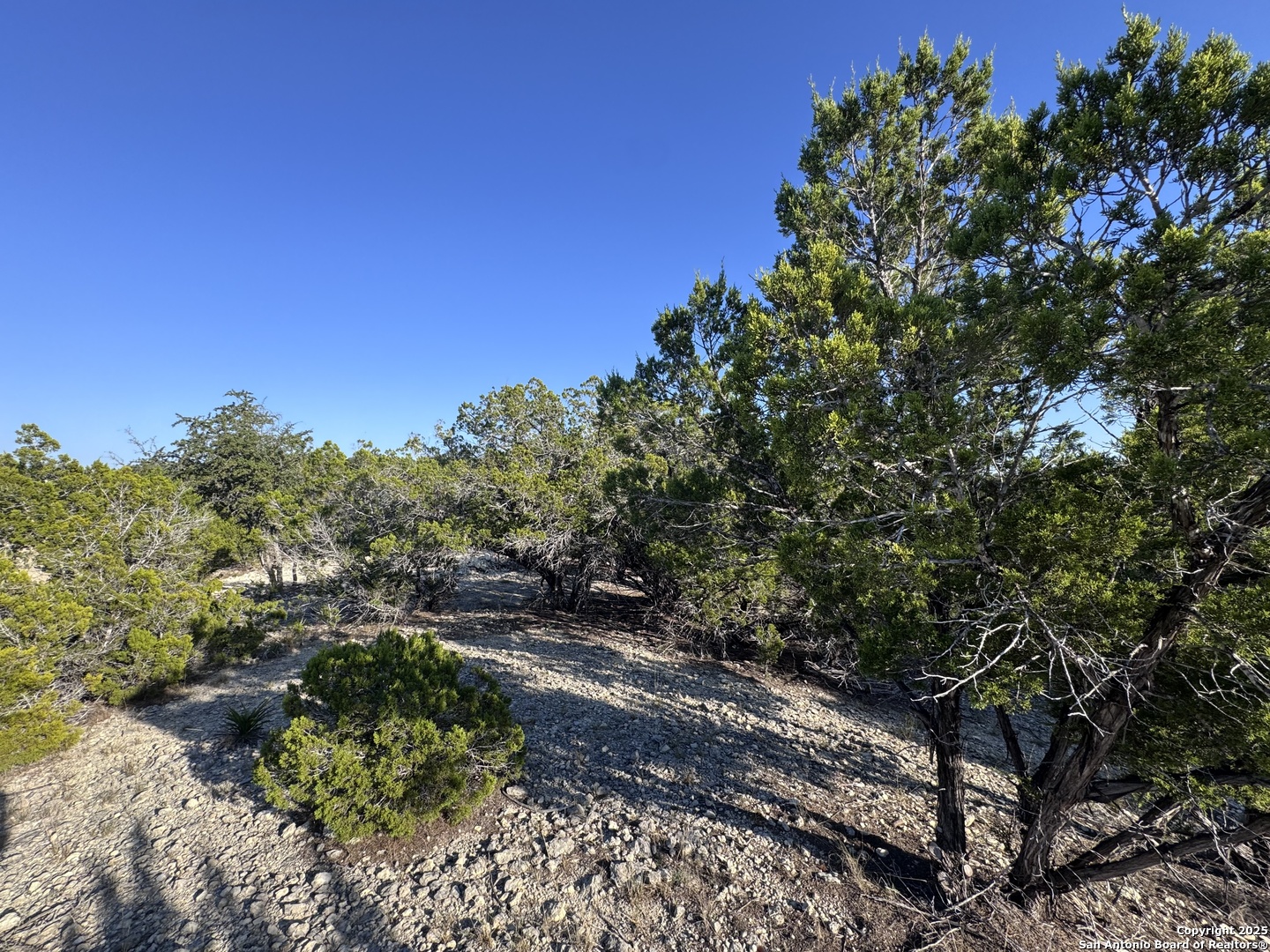 Land in Bandera 5