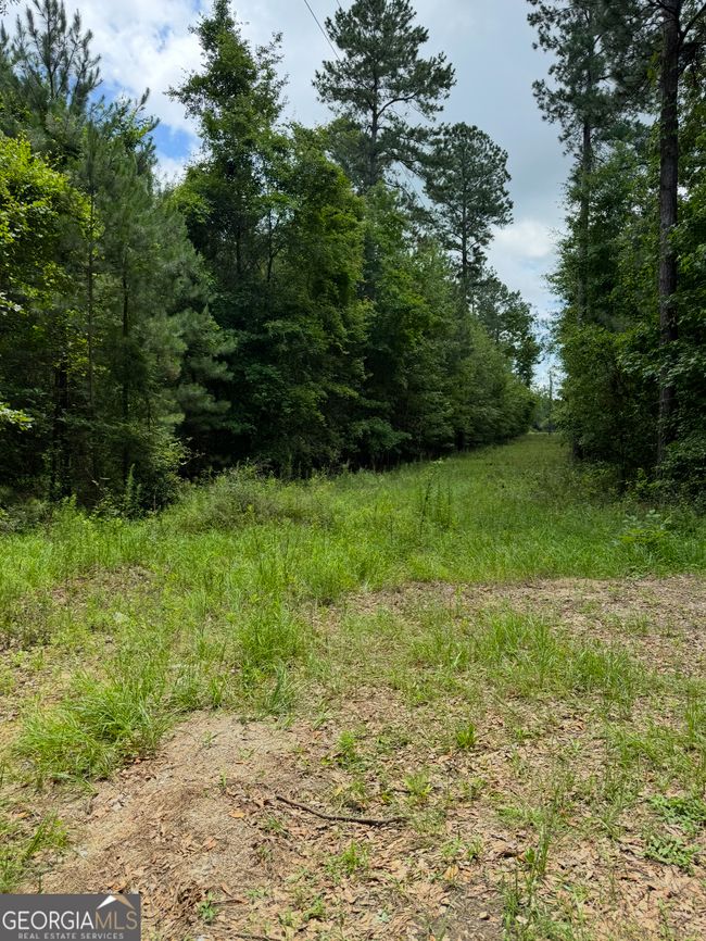0 Tobias Rd, Home with 0 bedrooms, 0 bathrooms and null parking in Sardis GA | Image 21