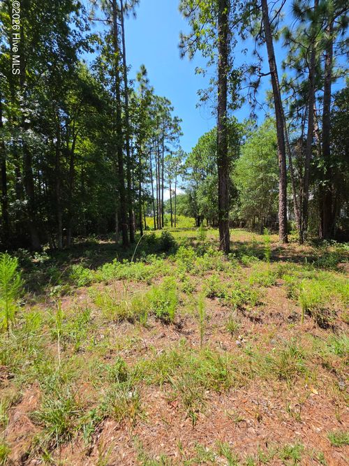44 Pine Shores Drive, Southport, NC, 28461 | Card Image