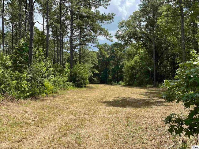 000 Highway 146, Home with 0 bedrooms, 0 bathrooms and null parking in Ruston LA | Image 18