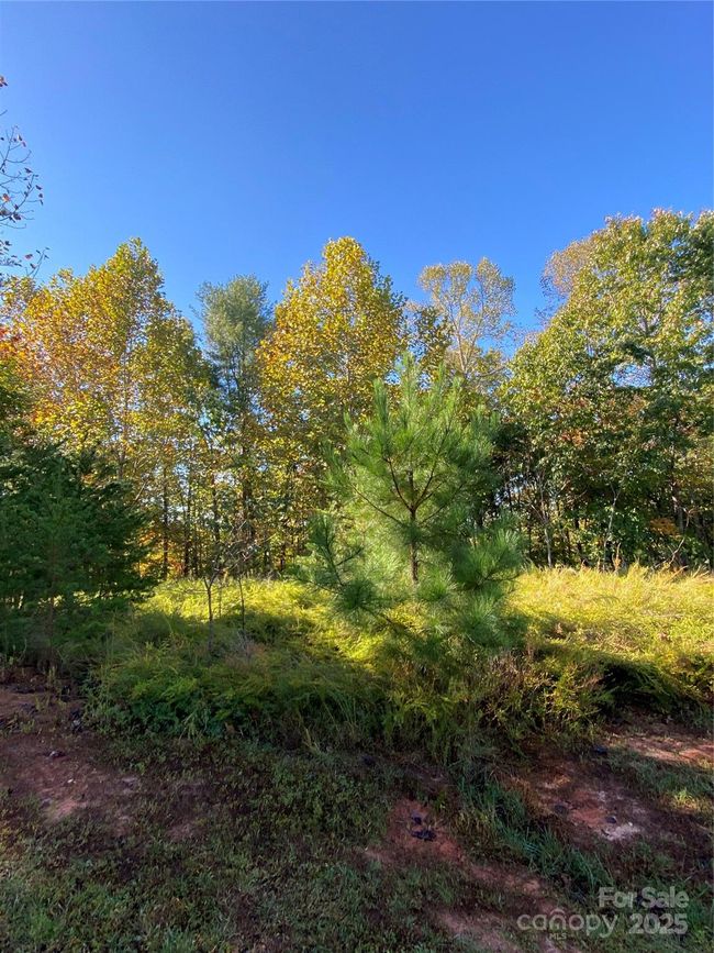 166 - 2127 Catawba Trl, Home with 0 bedrooms, 0 bathrooms and null parking in Nebo NC | Image 10