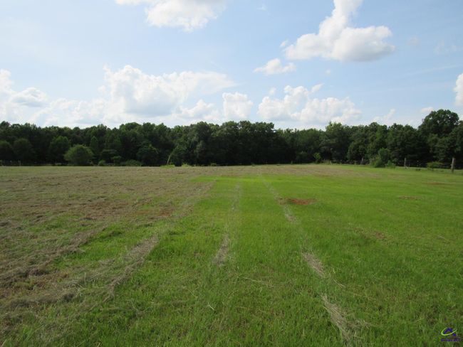 637 Grovania Rd, House other with 4 bedrooms, 2 bathrooms and null parking in Hawkinsville GA | Image 20