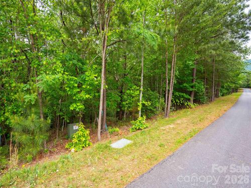 LOT 2009 Deep Gap Farm W, Mill Spring, NC, 28756 | Card Image