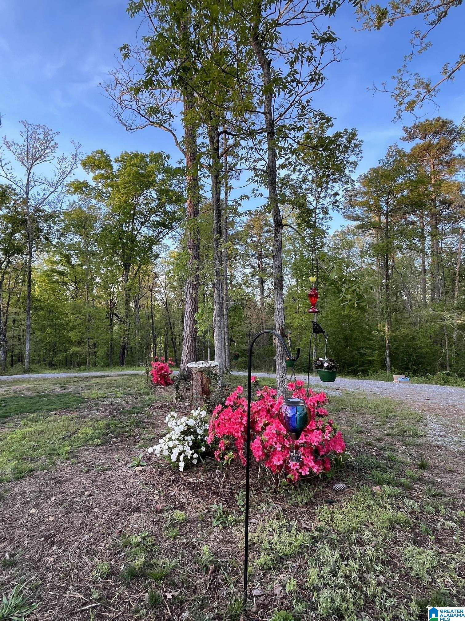 Land in STERRETT 4
