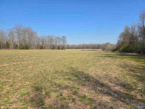 12.2 acres Fowler Drive, Hazel Green, AL, 35750 | Card Image