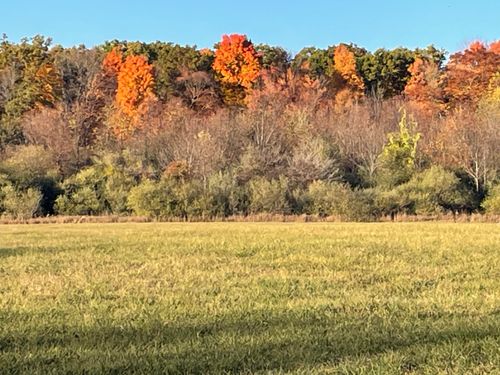 000 VL Cottonwood Ave, Big Rapids, MI, 49307 | Card Image