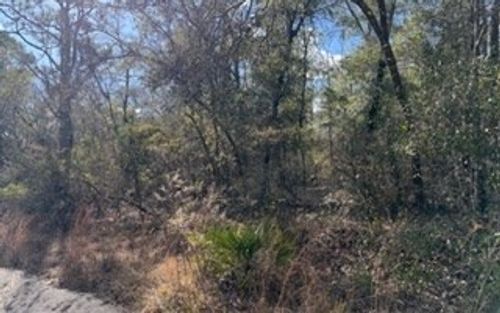 0 Sw 22nd Pl, Bell, FL, 32619 | Card Image