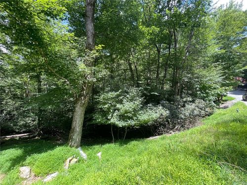 252 Greenbriar Rd, Beech Mountain, NC, 28604-8079 | Card Image