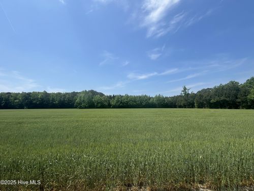 0 Clay Hill Road, Gatesville, NC, 27938 | Card Image