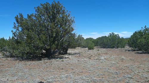 TBD Show Low 40ac, Show Low, AZ, 85901 | Card Image