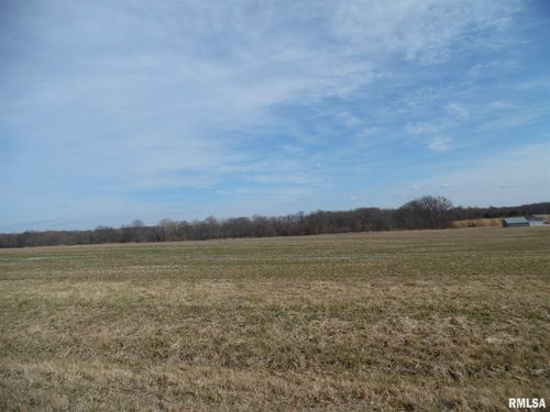 Tract 3 N Mcdermott Lane, Mt Vernon, IL, 62864 | Card Image