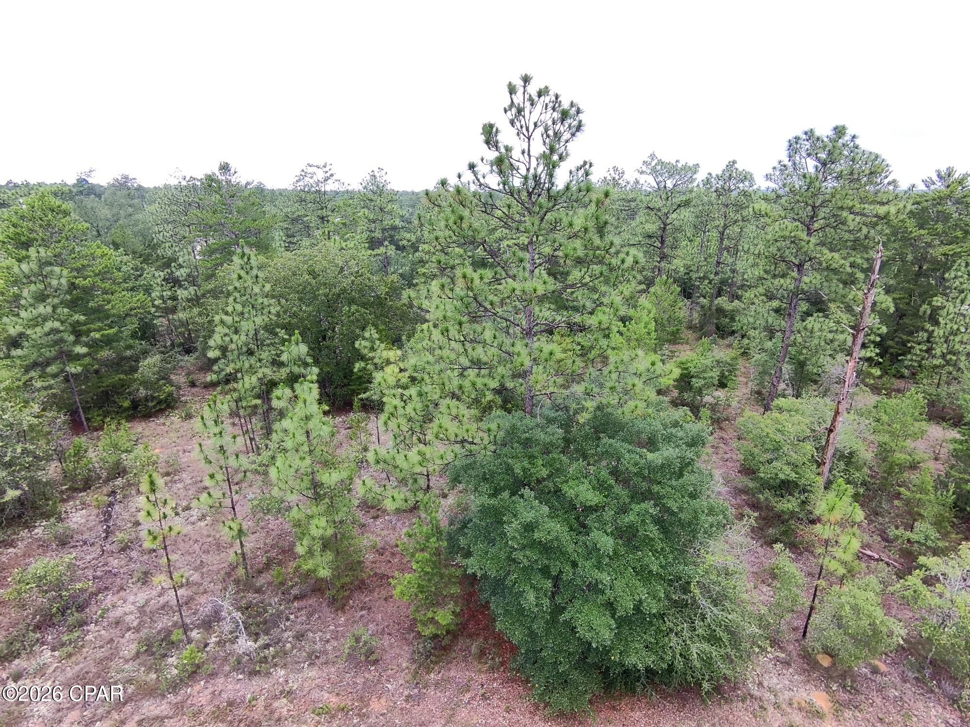 Land in Chipley 2