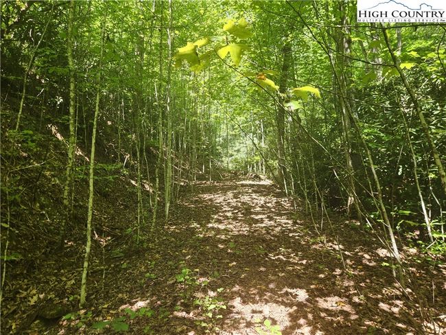 25 - 301 Bear Track Ln, Home with 0 bedrooms, 0 bathrooms and null parking in Lenoir NC | Image 19