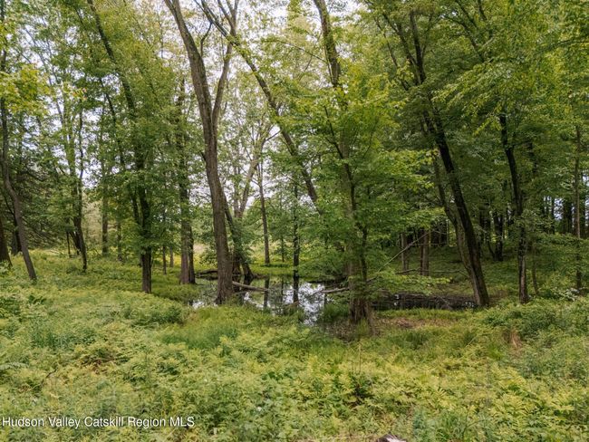 60 - 3760 Blackburn Rd, Home with 0 bedrooms, 10 bathrooms and null parking in Selkirk NY | Image 15