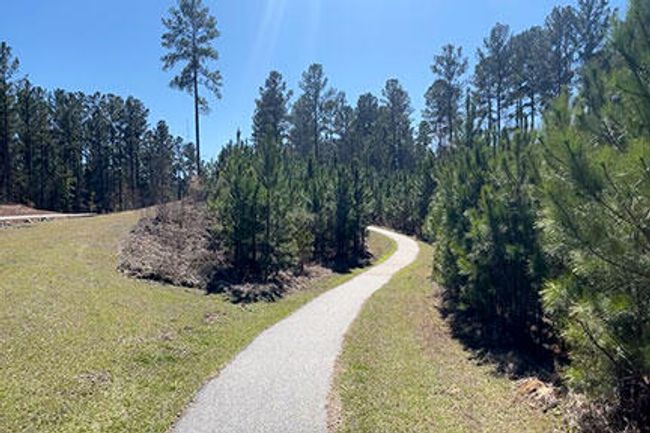 WP Walking trail | Image 8