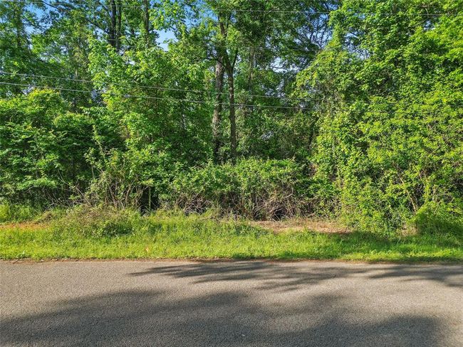 00 Arrowhead Dr, Home with 0 bedrooms, 0 bathrooms and null parking in Montgomery TX | Image 8
