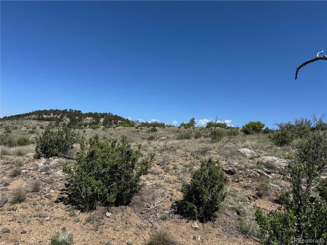 29 18 X, Home with 0 bedrooms, 0 bathrooms and null parking in Cotopaxi CO | Image 11