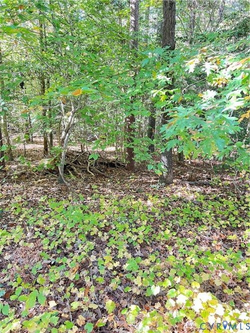 0 Country Club Ln, Ruther Glen, VA, 22546 | Card Image