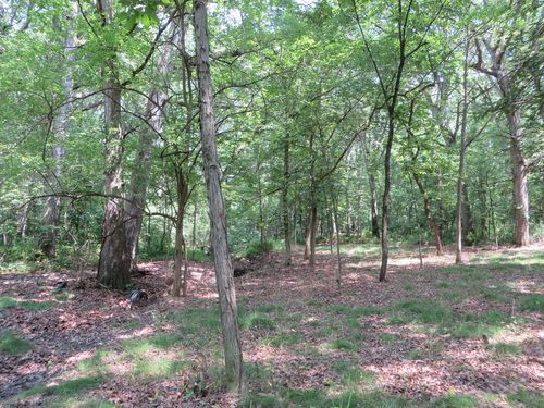 Six Mile Grove Sub 04-31-14e, Momence, IL, 60954 | Card Image