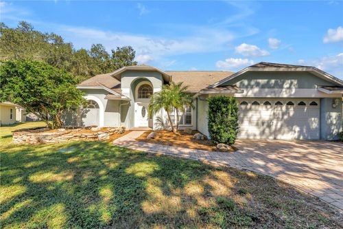 18520 Sunward Lake Pl, LUTZ, FL, 33549-3863 | Card Image