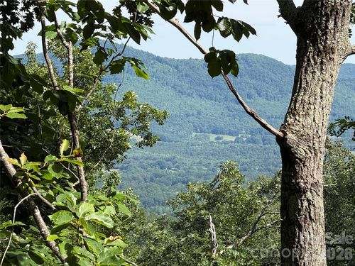 54-0 Arbra Mountain Way, Bostic, NC, 28018 | Card Image