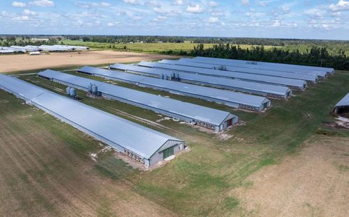 1175 Sw County Road 351, Mayo, FL, 32066 | Card Image