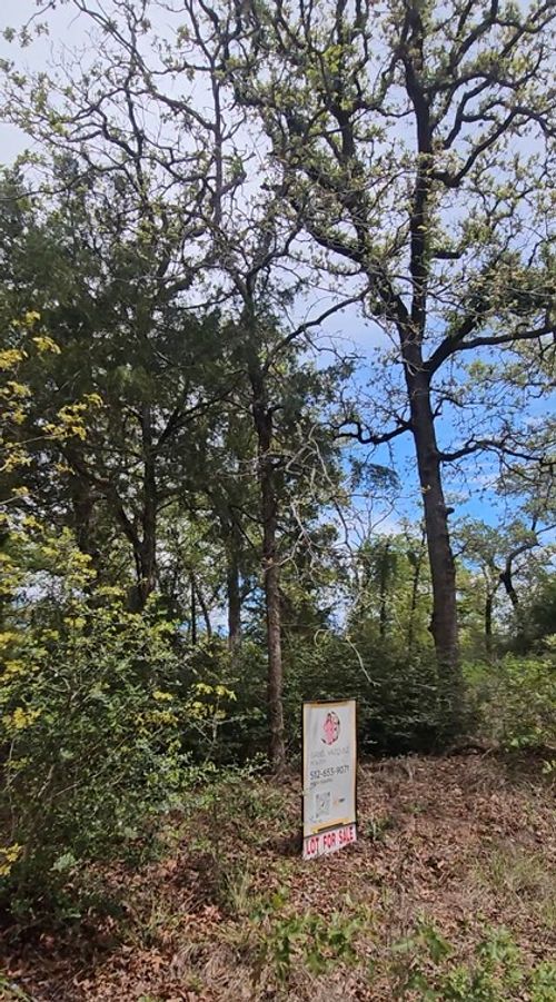 TBD Co Rd 308 Road, Caldwell, TX, 77836 | Card Image