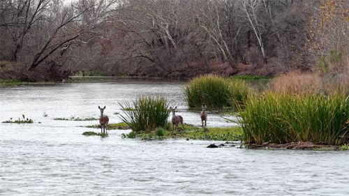 256 Greasy Bnd, Smithville, TX, 78957-5144 | Card Image