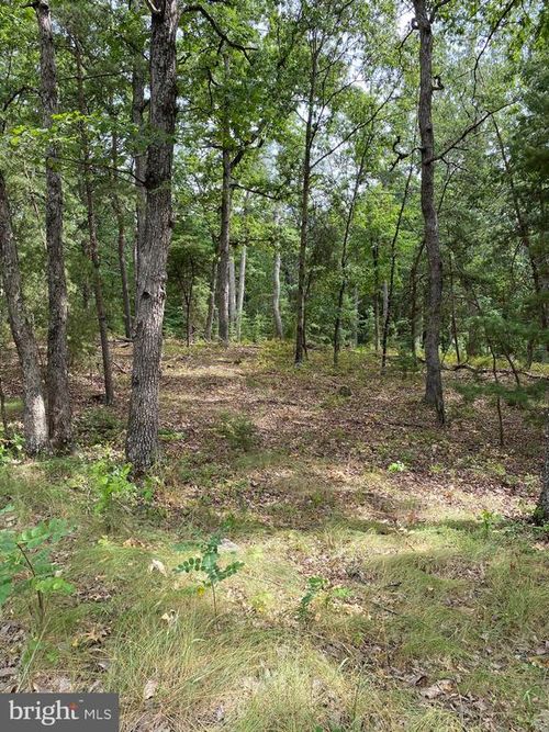 Lot 38 Janes Way, HIGH VIEW, WV, 26808-9504 | Card Image