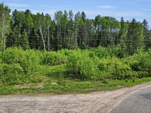 219 Doe Lake Rd, Katrine, ON, P0A1L0 | Card Image