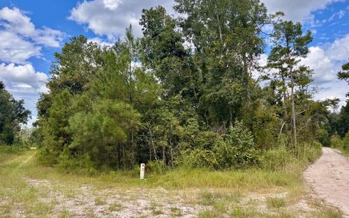 LOT44 Sw 32nd Ln, Jasper, FL, 32052 | Card Image
