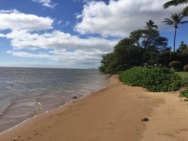 A106 - 1000 Kamehameha V Hwy, Condo with 1 bedrooms, 1 bathrooms and null parking in Kaunakakai HI | Image 32