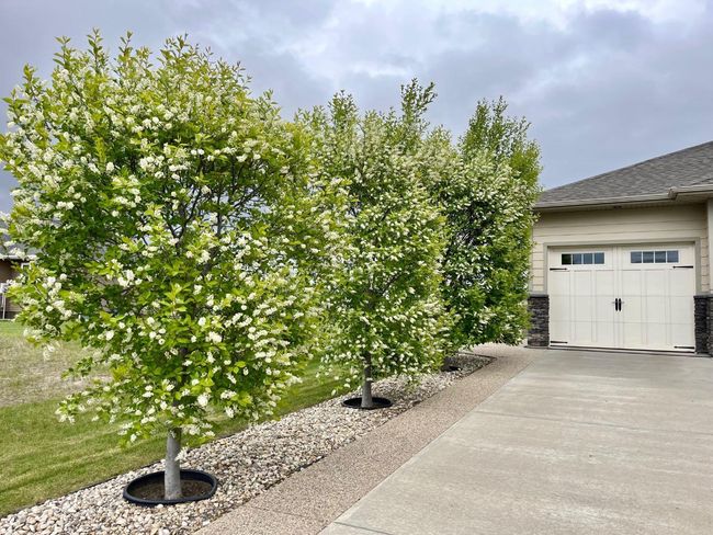 5135 45 St, House other with 2 bedrooms, 2 bathrooms and 3 parking in Viking AB | Image 24