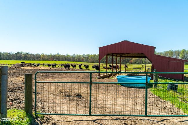 3775 Grifton Hugo Rd, House other with 5 bedrooms, 2 bathrooms and 2 parking in Grifton NC | Image 50