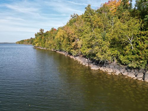 TBD Lot 5 County Rd 39 Ne, Longville, MN, 56655 | Card Image