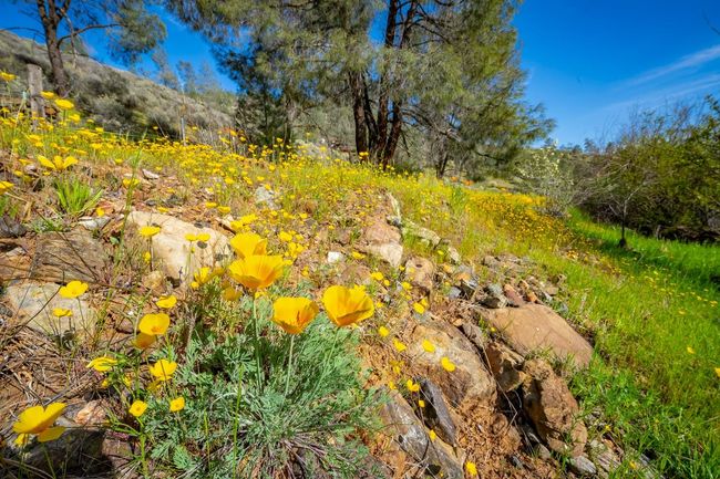9000 Six Bit Gulch Rd, House other with 3 bedrooms, 2 bathrooms and null parking in Jamestown CA | Image 7