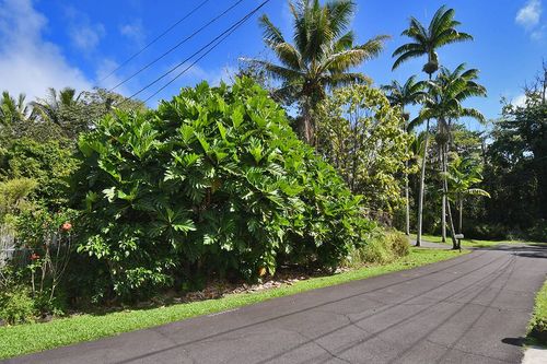 1652-15-2815 Opae St, PAHOA, HI, 96778 | Card Image